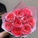 Photo of Bouquet of 9 Candy X-Pression roses «Pink Expression»