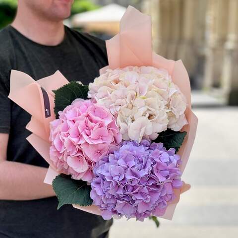 3 hydrangeas in a bouquet «Pastel Clouds», Flowers: Hydrangea, 3 pcs.