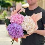 Photo of 3 hydrangeas in a bouquet «Pastel Clouds»