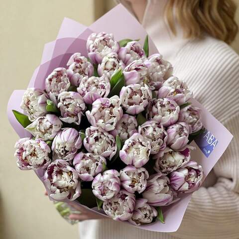 33 піоновидних тюльпани «Солодкі вишні», Квіти: Тюльпан