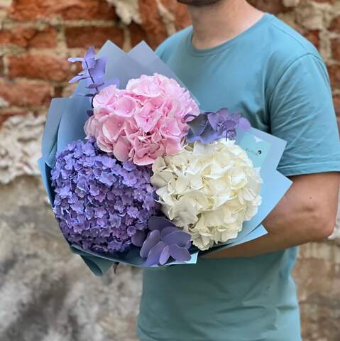 Flufft bouquet of 3 hydrangeas «Marshmallow Dreams», Flowers: Eucalyptus, Hydrangea - 3 pcs.