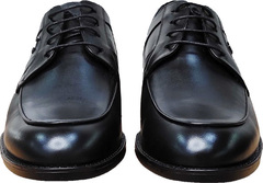 Кожаные туфли дерби мужские Luciano Bellini F823 Black Leather