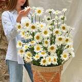 Photo of Flower basket «Chamomile sonata»
