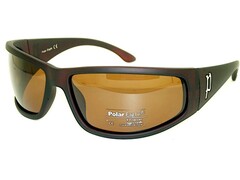 ps 8202 c2