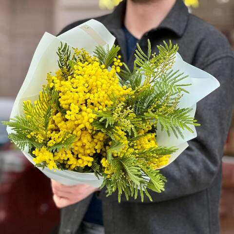 Ароматний букет мімози «Запах весни», Квіти: Мімоза, 7 гілок