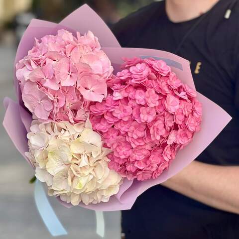 3 hydrangeas in a bouquet «Shades of Pink», Flowers: Hydrangea, 3 pcs.