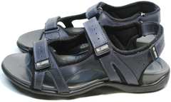 Спортивные сандалии мужские Mi Lord 2066EKO Blue.