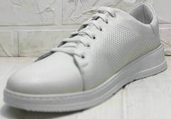 Перфорированные туфли кеды белые женские Evromoda 141-1511 White Leather.