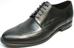 Купить туфли броги мужские Ikos 1157-1 Classic Black.