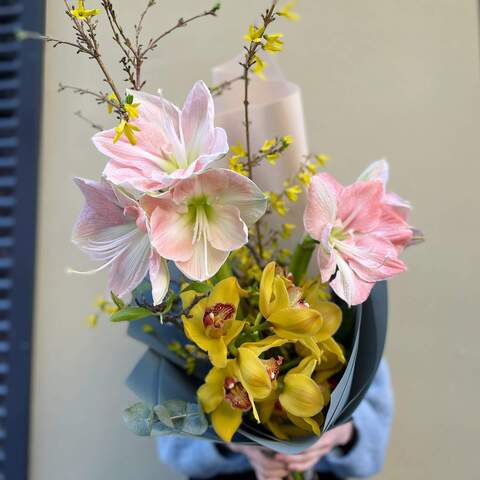 Bouquet «Faith in the spring», Flowers: Forsythia, Hippeastrum, Cymbidium, Eucalyptus