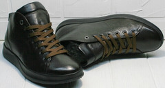 Весенние ботинки кроссовки для повседневной носки мужские Ikoc 1770-5 B-Brown.