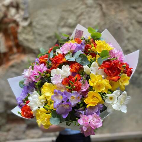 Bouquet of 51 freesias «Colorful sea of freesias», Flowers: Freesia