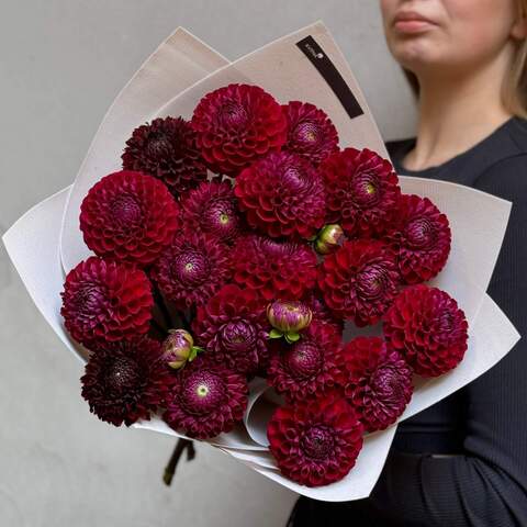 Dark rich bouquet of 19 dahlias «Northern Love», Flowers: Dahlia, 19 pcs.