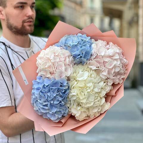 Photo of 5 hydrangeas in a cloud «Watercolor cloud»