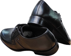 Классические мужские туфли кожаные Luciano Bellini F823 Black Leather.