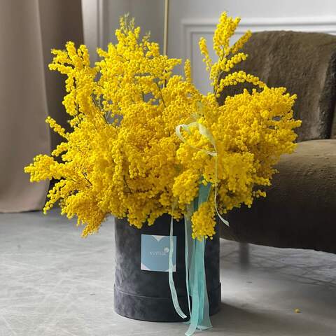 Photo of Luxurious fluffy composition of Italian fragrant mimosa «Gargen of the sun»