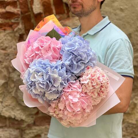 5 most delicate hydrangeas in a bouquet «Favorite Marshmallow», Flowers: Hydrangea, 5 pcs.