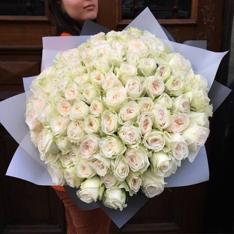 101 піоновидна ароматна троянда White O'Hara, Величезна пухка хмарина з запашних піоновидних троянд Вайт О'Хара. З таким букетом-подарунком, чудовий початок дня гарантовано, а аромат квітів - як прекрасний парфум