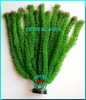 Растение Атман M-005B, 40см