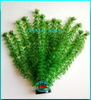 Растение Атман M-070B, 30см