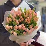 Photo of 51 premium salmon-colored tulips in a bouquet «Gentle»