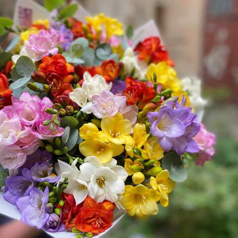 Photo of Bouquet of 51 freesias «Colorful sea of freesias»