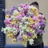 Photo of Bouquet «Fragrant Matthiola»