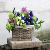 Photo of Basket with flowers