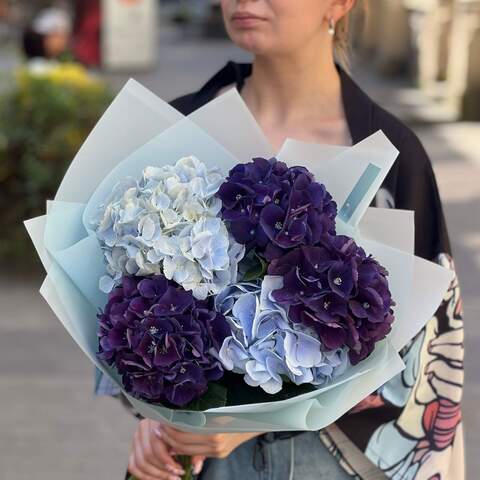 Bouquet of 5 hydrangeas «Sea depths», Flowers: Hydrangea, 5 pcs.