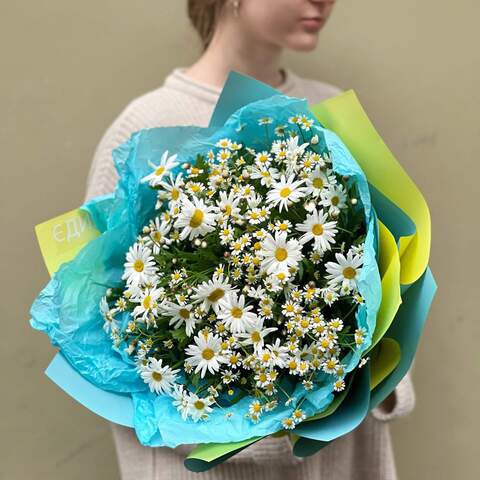 Bouquet «Chamomile Love», Flowers: Tanacetum, Chamomile