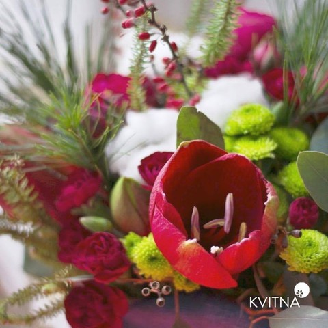 Photo of Christmas flower arrangement with Hippeastrum