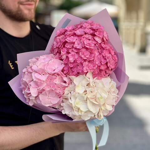 Photo of 3 hydrangeas in a bouquet «Shades of Pink»