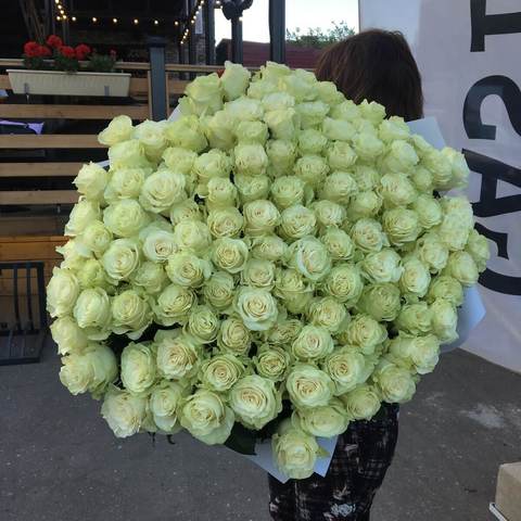 Huge Bouquet 151 white roses, 151 white roses is a bouquet for the most beautiful