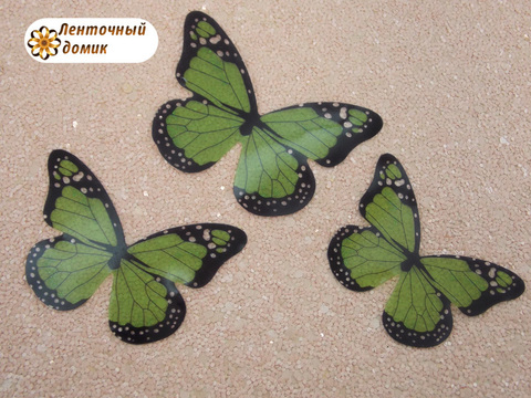 Набор бабочек из прозрачной пленки зеленый