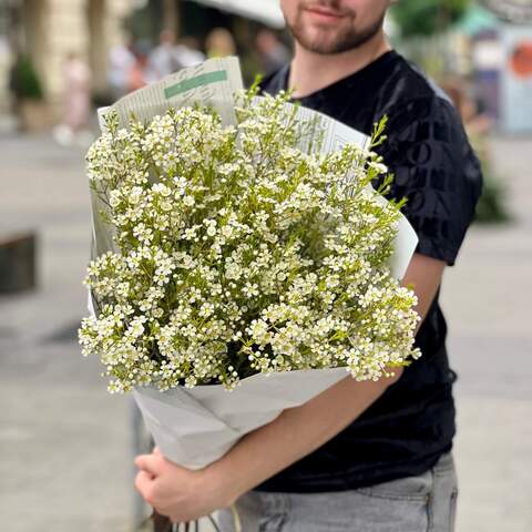 11 branches of white chamelaucium in a bouquet «Crystal stars», Flowers: Chamelaucium