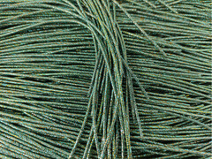 Канітель пружна Зелений/Каштан 1,6 мм