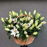 Photo of Basket with lilies
