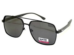 pgm 8765 c1