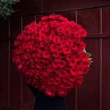Photo of Huge bouquet of 201 red roses «Ocean of Passion»