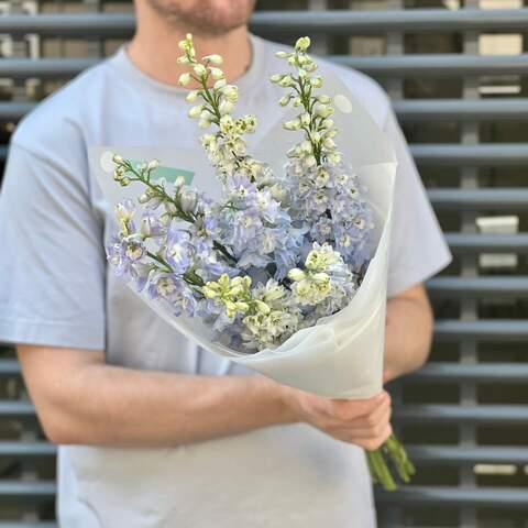 Photo of 7 delphiniums in a bouquet «Blue ray»