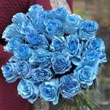 Photo of Blue roses