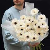 Photo of 25 gerberas in a bouquet «Light feather»