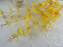 Гілочка евкаліпту декортавна жовта