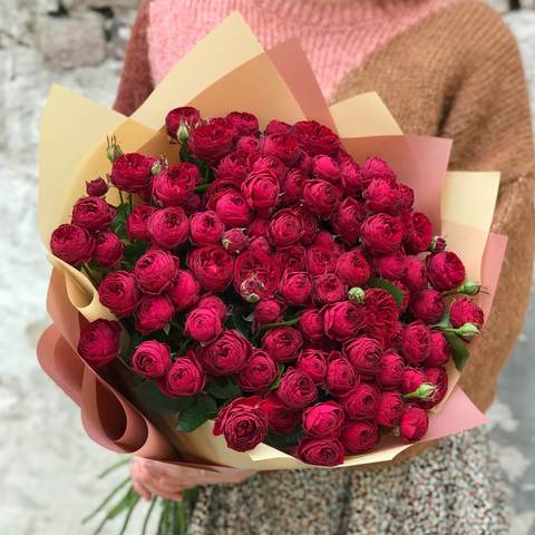 25 веток пионовидной кустовой розы Maroon в букете «Страстный поцелуй», Букет из бордовых пионовидных кустовых роз