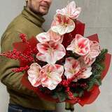 Photo of Colorful winter bouquet with amaryllis «Christmas Constellation»