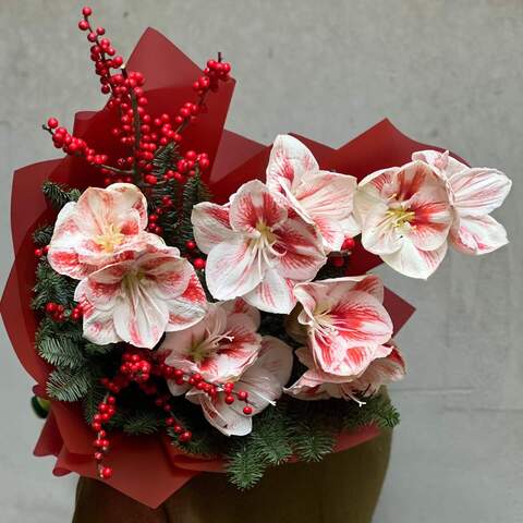 Photo of Colorful winter bouquet with amaryllis «Christmas Constellation»