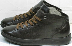 Мужские ботинки весна осень коричневые кеды мужские Ikoc 1770-5 B-Brown.