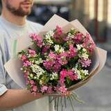 Photo of 29 oxypetalums in a bouquet «Baby»