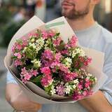 Photo of 29 oxypetalums in a bouquet «Baby»