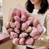 Photo of 25 hyacinths in a bouquet «Strawberry ice cream»